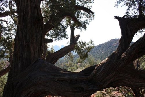 Sedona-fd0058